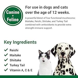 Vet-Classics-CAS-Options-Extra-Strength-Immune-Support-for-Dogs-Cats--Pet-Health-Supplement-Dog-Antioxidant-Care--Extra-Strength-Dog-Supplement-Formula--120-Chewable-Tablets - Cucciolini Doodles   Vet-Classics-CAS-Options-Extra-Strength-Immune-Support-for-Dogs-Cats--Pet-Health-Supplement-Dog-Antioxidant-Care--Extra-Strength-Dog-Supplement-Formula--120-Chewable-Tablets