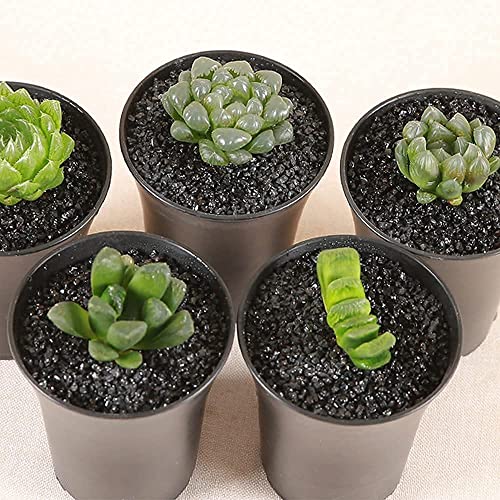 Image of 7lb Black Cactus Pea Gravel Rocks,1 /4 Inch Pebbles for Indoor Plants, Natural Succulent Rock and River Rocks Decorative for Aquariums, Vases, Outdoor Gardening, Top Dressing for Potted Plants