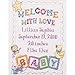Bucilla Baby Counted Cross Stitch Birth Record Kit, 45403 Blocks