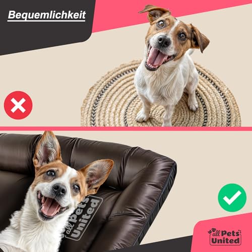 all Pets United® Hundekissen Hundebett Indoor & Outdoor; Hunde-Kissen Hunde-Körbchen; Schlafplatz für Hund & Katzen (M - 75x52 cm)