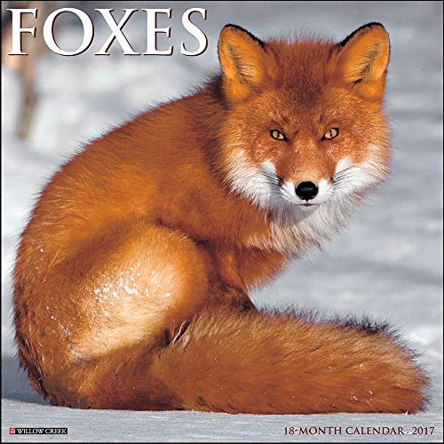 Foxes 2017 Wall Calendar