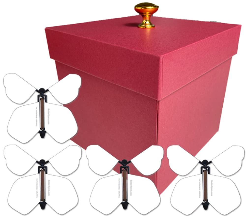 Amazon.com: Butterflyers! Red Valentines Day Exploding Butterfly Box With  Flying Butterflies (Blank/White Flying Butterfly X 4) : Toys & Games