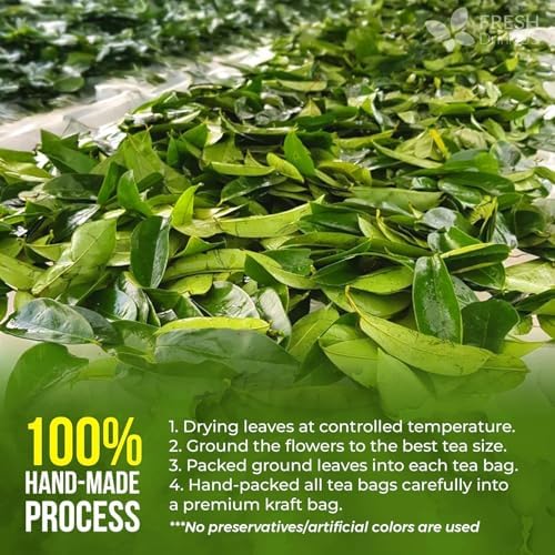 40 Premium Soursop Graviola Leaf Tea Bags, 100% Natural and Pure from Soursop Leaves, Handmade, Made With Natural Materials-Corn Fiber Tea Bag, Sugar/Caffeine/Gluten Free, Hoja Guanabana Tea — view 6