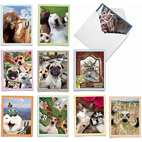 The Best Card Company - 10 Adorable Note Cards Blank (4 x 5.12 Inch) - Wildlife and Animal Cards, Assorted Boxed Kids Set - Animal Selfies M2373OCB-NB Cover