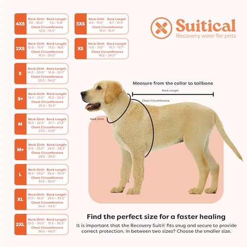 Suitical Recovery Suit Hund, L, Schwarz