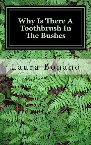 Why Is There A Toothbrush In The Bushes: And Other Little Life Mysteries