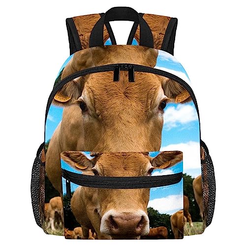 Cartable école primaire pour garçons et filles | Sac à dos scolaire enfants grand confort