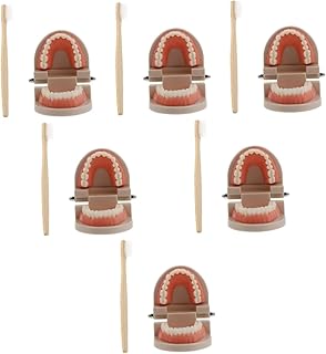 BESTOYARD 6 Conjuntos De Escova De Dentes Auxiliares De Ensino Modelo De Dentes De Dentista Brinquedo De Escovação De Educação Infantil Brinquedos Infantis Para