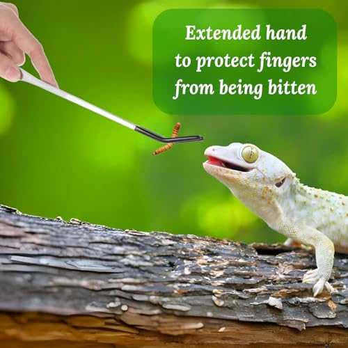 MUYYIKA Axolotl Stainless Steel Feeding Forceps for Reptiles, with Rubber Tip, 26.7 cm, Straight and Curved Pincet for Aquarium, Ideal for Chameleons, Snake Tanks, Aquarium Accessories, 2 Pieces - Image 4