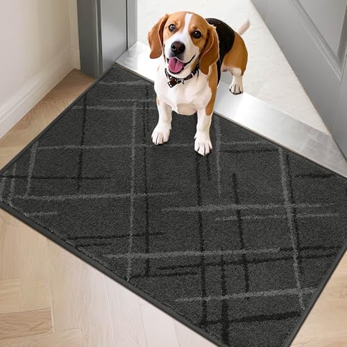 COSY HOMEER Front Door Mat Low Profile Non-Slip Doormat for Entryway, Absorbent Dirt Trapper Washable Entrance Mat, Sturdy Polyester Doormats for Muddy Paws (36"x24", Gray) Grey 3' x 2' (Rec