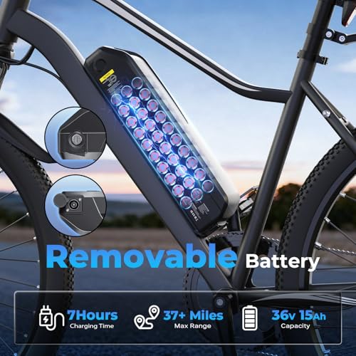 Electric Bike – 750W Peak Motor Electric Bicycle, 20MPH, 60