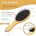 Premium Boar Bristle Hair Brush for Thick Hair Set. Hairbrush for Women With Thick, Long or Curly Hair. Restores Hair's Shine and Health. Comb, Travel Bag & Spa Headband Included