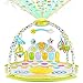 NEW 2019 Baby Gym Kick and Play Piano Activity – 0m+ Large Play & Learn Infant Toys Jungle Gym – Baby Kick Piano Mat with Rotating Star Mobile & Star Projector – Machine Washable Newborn & Toddler Gym