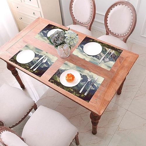 Sets de table antidérapants et résistants à la chaleur pour protéger votre table