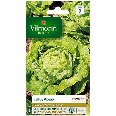 Vilmorin Laitue Pommée Appia Cover