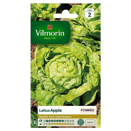 Vilmorin 3600142 Pack de Graines Laitue Pommée Appia