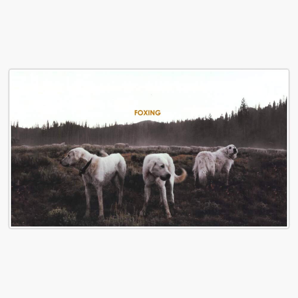 Foxing- Album Artwork Sticker Vinyl Waterproof Sticker Decal Car Laptop Wall Window Bumper Sticker 5"