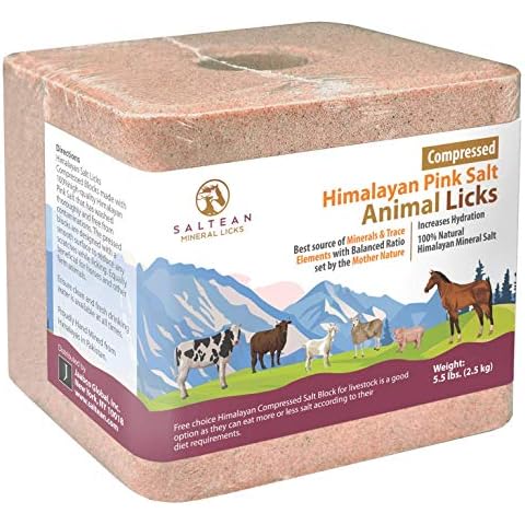 SALTEAN Compressed Himalayan Horses Lick Natural Pink Salt, with strong hanging Rope , No Starch(2.5 kg) "Salt Range Pakistan" Cover