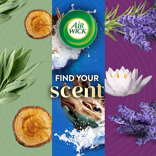 Air Wick Vibrant Plug in Scented Oil Refill, 5ct, Nectarine & Paradise Flower, Air Freshener, Essential Oils - image 6