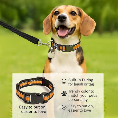 Image of Reflective Adjustable Pet Collar for Dogs and Cats - Durable Nylon Strap with Heavy-Duty Buckle | Comfortable and Safe for Walking and Training in Multiple Colors & Sizes (Yellow, Large)