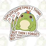 3 PCS Sometimes I Think But Then I Forget Vinyl Sticker, Cute Sad Frog Wearing Propeller Hat Decal, Funny Quote Animal Sticker for Laptop, Water Bottle, Hard Hat 3', Gift for Friends, Coworkers