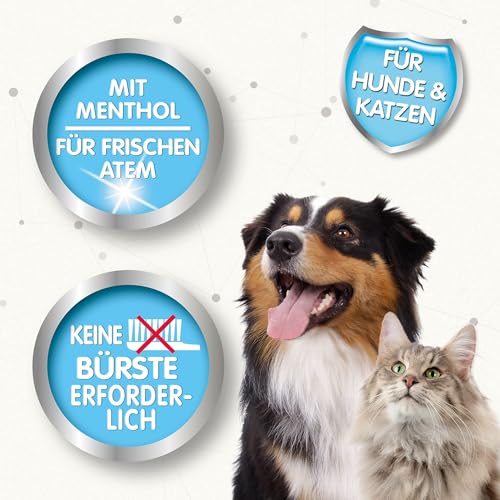 Beaphar Mundwasser, 250ml