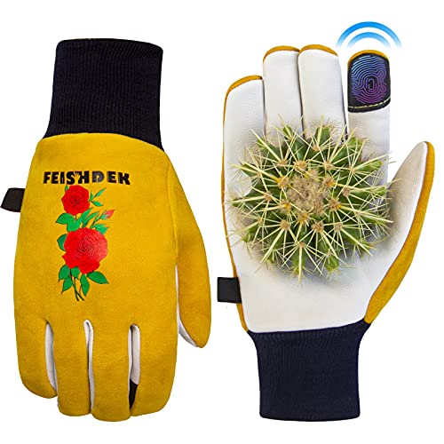 Best Gloves To Handle Cactus