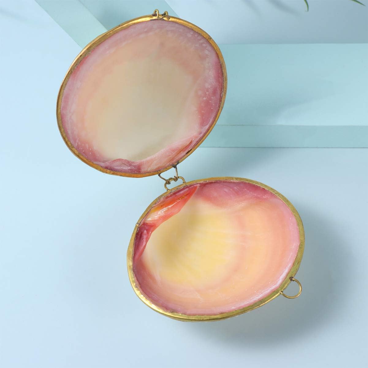 Shell Jewelry Box Shell Trinket Box Earring Necklace Ring Organizer Box for Girls Women Birthday Christamas - Image 4