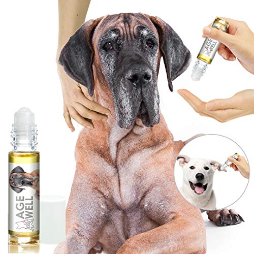 Image of The Blissful Dog Great Dane Age Well Dog Aromatherapy Roll-On Bottle for Your Dog's Peaceful Ageing