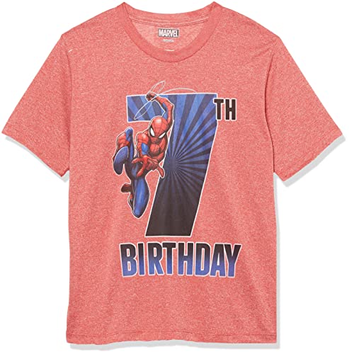 Marvel Kids' Spiderman 7th Bday T-Shirt