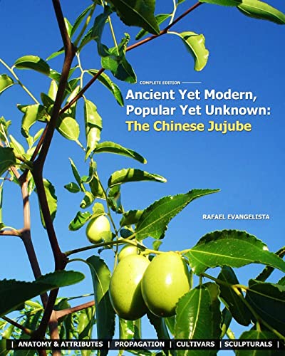 Ancient Yet Modern, Popular Yet Unknown: The Chinese Jujube: An In-Depth Guide to Growing and Propagating Chinese Jujubes image 2