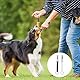 2 Stück Hundepfeife RüTter Rückruf,Erziehungshilfen für Hunde,Anti-Bell-Hundepfeife,Dog Whistle,Hundepfeifen Trainingspfeife,Haustiere Hochfrequenz Bellen,Training Pfeifen,for Hundetraining (Weiß)