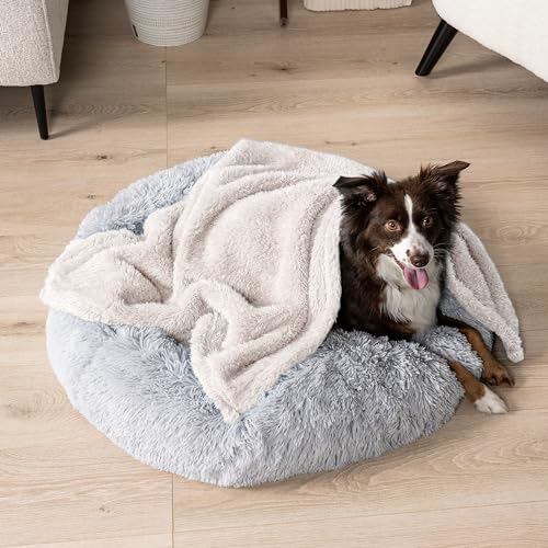 Image of PetAmi Dog Blanket for Small Dogs Beige, Fluffy Soft Puppy Blanket, Sherpa Fleece Cat Blanket for Kitten Doggie, Calming Pet Blanket Throw for Couch Sofa Bed Washable, Small 24x32