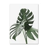 hjoswvns quadri moderni soggiorno verde foglia tropicale quadro moderno soggiorno quadri stampa su tela quadri moderni camera da letto quadro su tela stampe da parete moderne senza cornice 40x60cm