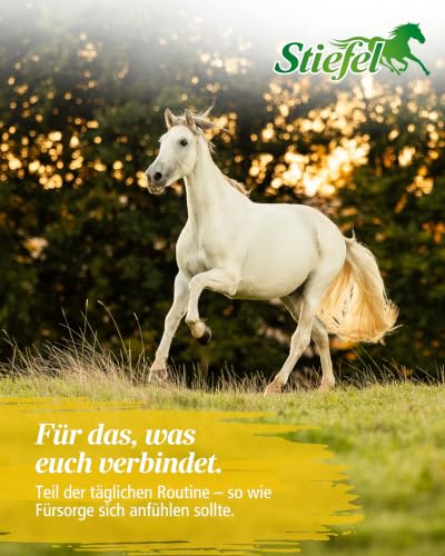 Stiefel Leinöl für Pferde 1L I Kaltgepresstes Öl für Fell, Haut & Verdauung
