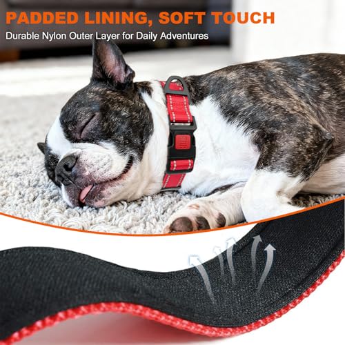 Image of Taglory Reflective Small Dog Collar, Comfortable for Safe Night Walks, Red