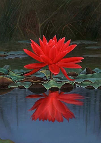 See full amazon price history chart for Hudgle Indian Red Lotus Seeds (10 Pcs) - Hudgle Lotus seeds Hudgle Indian Red Lotus Seeds (10 Pcs) - Hudgle Lotus seeds (B07N97FLBX) Amazon Price History, Amazon Price Tracker