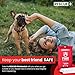 Rescue+ Emergency Fire Blanket for Home, Kitchen, Workplace & Travel, 40” x 40” Fiberglass Flame Retardant Safety Blanket, Fire Suppression for House, Camping, Car Emergencies - 1 Pack