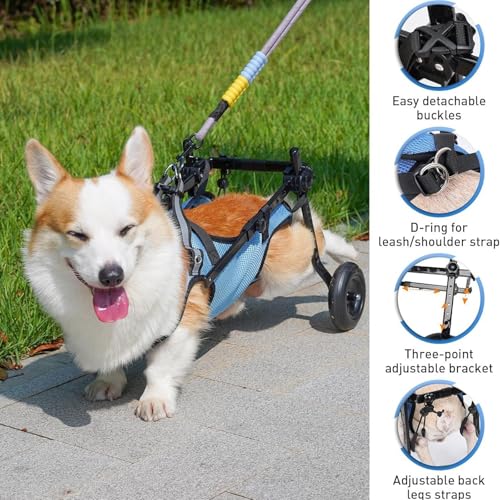 Silla de ruedas para perros pequeños con soporte para extremidades traseras 7