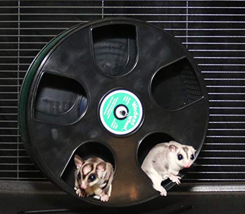 Exercise Wheel - 11in Wodent Wheel | Small Animal Exercise Wheel with Nail Trimmer Insert for Sugar Gliders, Mice, Rats, Gerbils and Other Small Animals