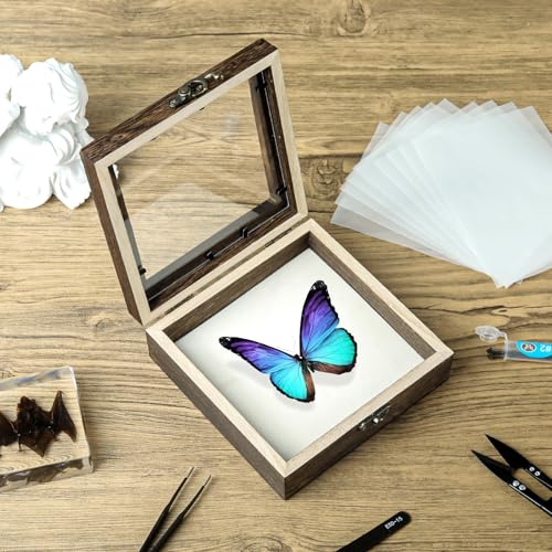 Image of 20 Pieces Insect Pinning Kit, Bug Pinning Kit for Science Classroom Science Education