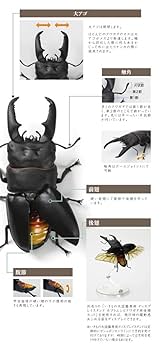 ガシャポン　いきもの大図鑑　くわがた　ミヤマクワガタ ミツオビアルマジロ　セット いきもの大図鑑 くわがた05【2023年5月発送】 | ナムコ