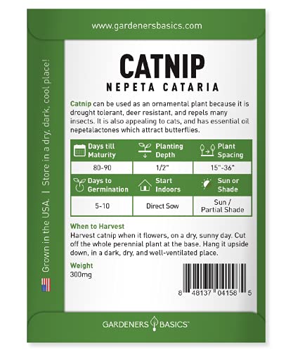 Gardeners Basics Catnip Seeds for Planting is A Heirloom, Non-GMO Herb Variety- Nepeta Cataria Herb Seeds Great for Indoor and Outdoor Gardening and Cats - Image 3