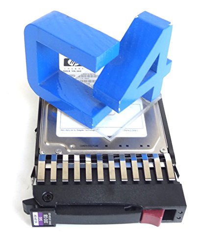 HP 507284-001 Proliant 300GB 10K 2.5in 6Gbps Dual Port in Tray SAS Hard Drive (Renewed)