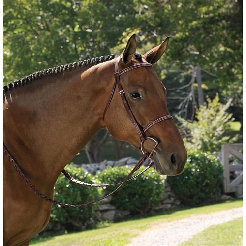 Suffolk Dover Saddlery Single Crown Hunter Bridle - Brown, Horse-F/S #TOP1
