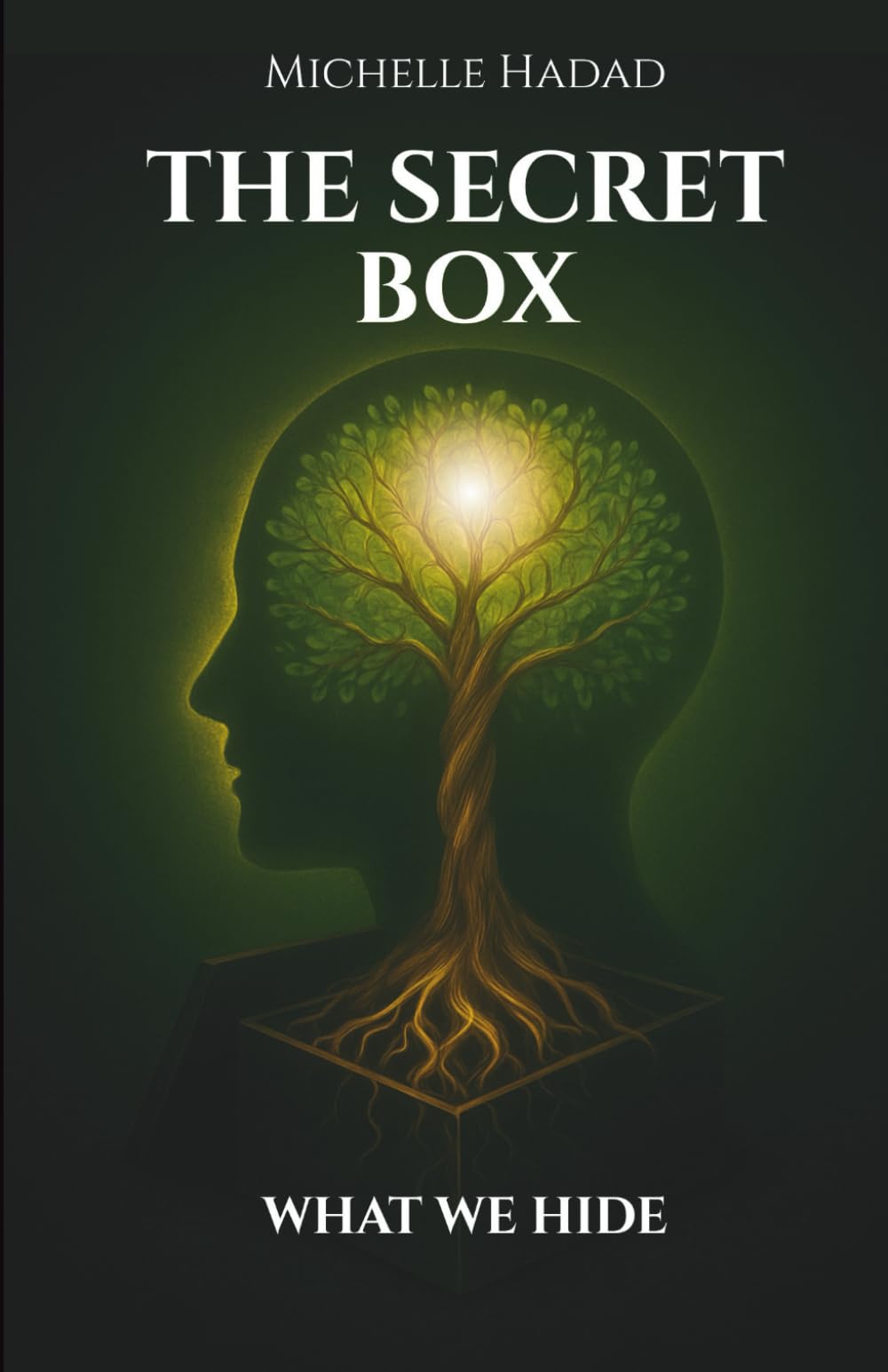 The Secret Box: What We Hide: 2