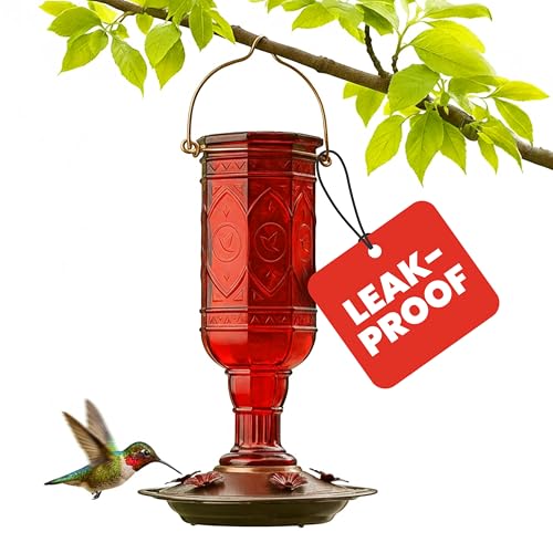More Birds Red Jewel Hummingbird Feeder, Glass Bottle, 5 Feeding Ports and 20-Ounce Nectar Capacity (76IN)