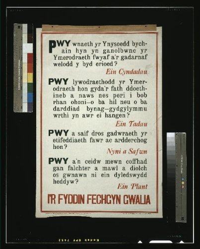 Photo: I'r fyddin fechgyn gwalia,1915,World War I Photo,Recruiting,Wales,Great Britain