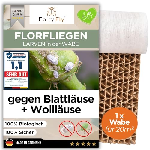 FairyFly Florfliegenlarven gegen Blattläuse & Wollläuse 1 Wabe für 20 m bis 500 Larven Nützlinge zum Streuen für Gemüse- Cannab.- Zier & Zimmerpflanzen - Starke Wirkung gegen Befall