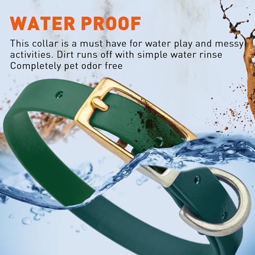 Image of Viper Biothane Heavy Duty Waterproof Dog Collar Strong Coated Nylon Webbing w /Solid Brass Hardware Odor-Proof Easy to Clean High Performance Fits Small Medium or Large Dogs, Hunter Green
